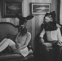 6686体育高级作者Evelyn