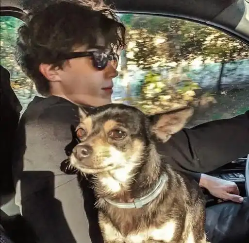 6686体育高级作者Vega