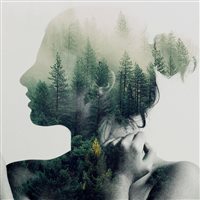 6686体育特邀作者仙醉红颜泪