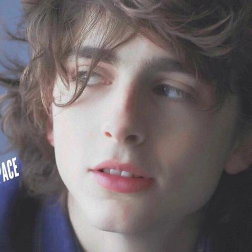 6686体育首席作者Scarlett