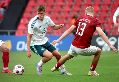 เดนมาร์ก vs ไอร์แลนด์เหนือ